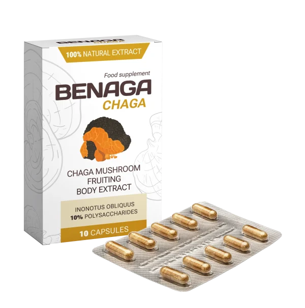 Benaga Chaga
